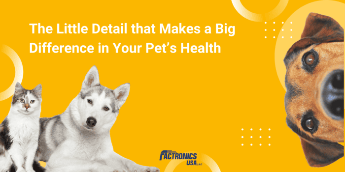 High-quality custom electronics manufacturing for pet health devices and solutions.